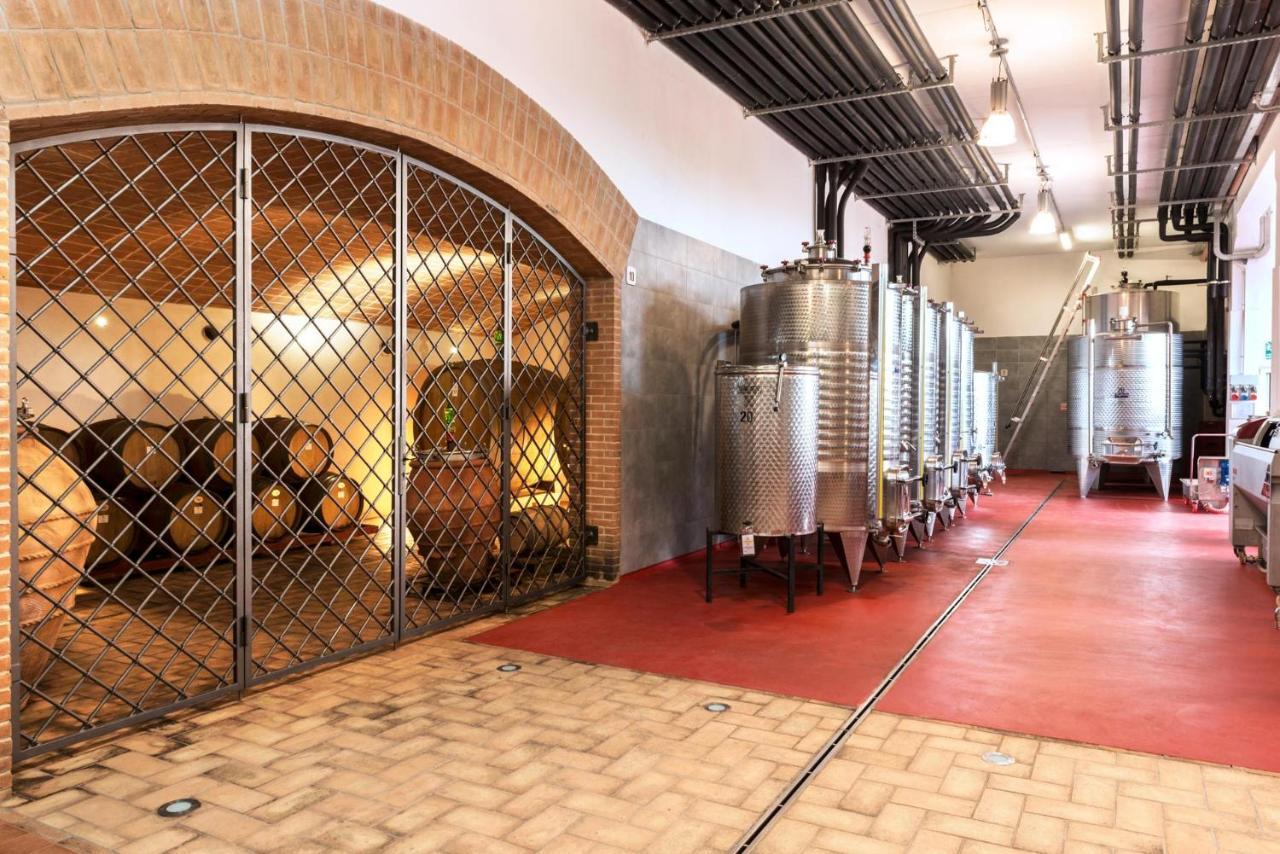 Agriturismo & Cantina Tenuta Casteani Ribolla 外观 照片
