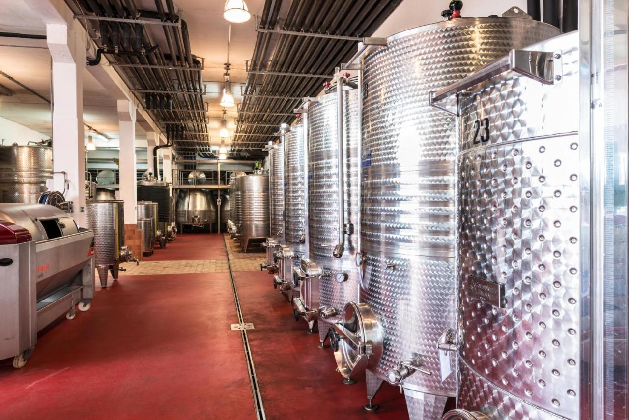 Agriturismo & Cantina Tenuta Casteani Ribolla 外观 照片
